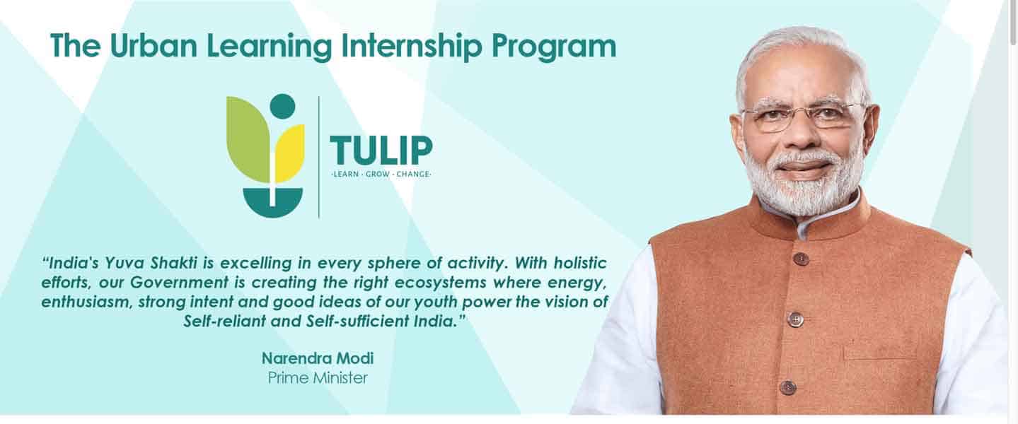 TULIP Internship 2025